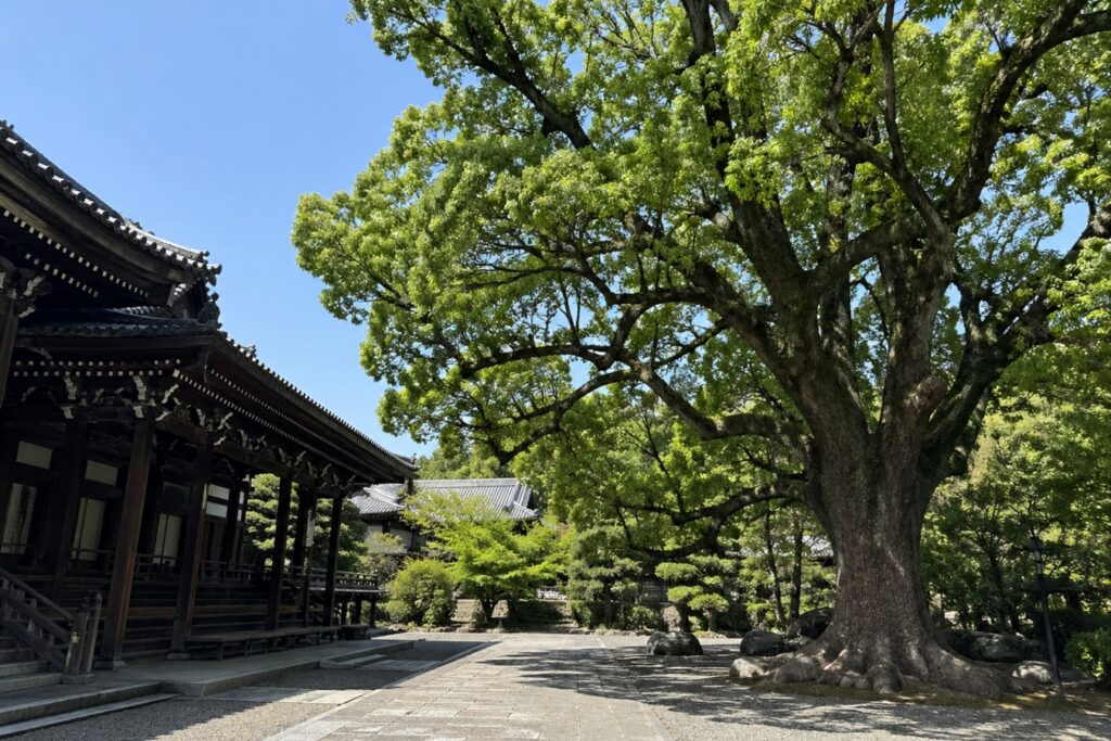 お寺 ホームページ 公開後